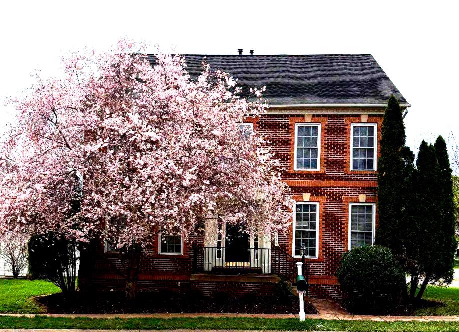 Charming brick home with lush landscape.