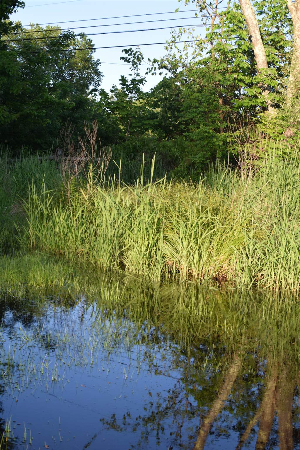 65 Raymond Road Deerfield, NH 03037 - Photo 12 of 28