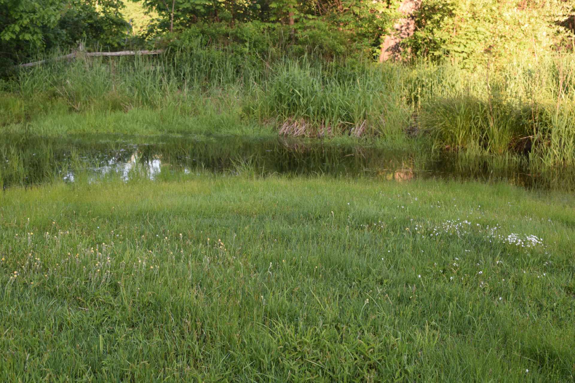 65 Raymond Road Deerfield, NH 03037 - Photo 16 of 28