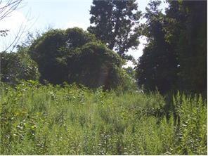 0 Town And Country Road Vanderbilt, PA 15486 - Photo 10 of 13
