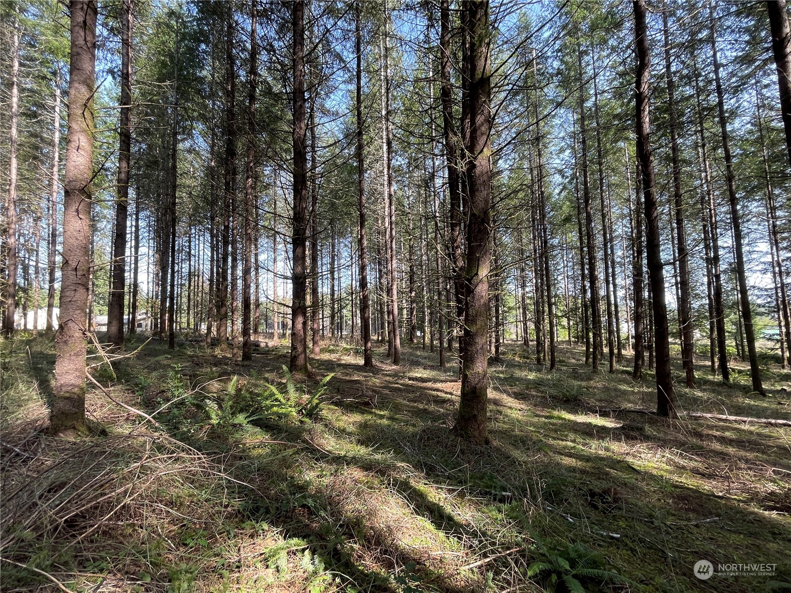 0 Coma Road Winlock, WA 98596 - Photo 1 of 1