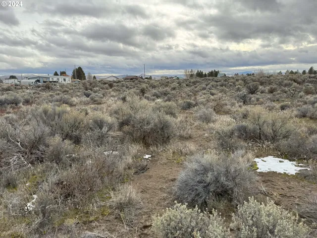 a view of a dry space with lots of trees