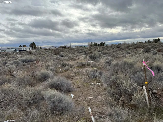 a view of a bunch of trees in a field