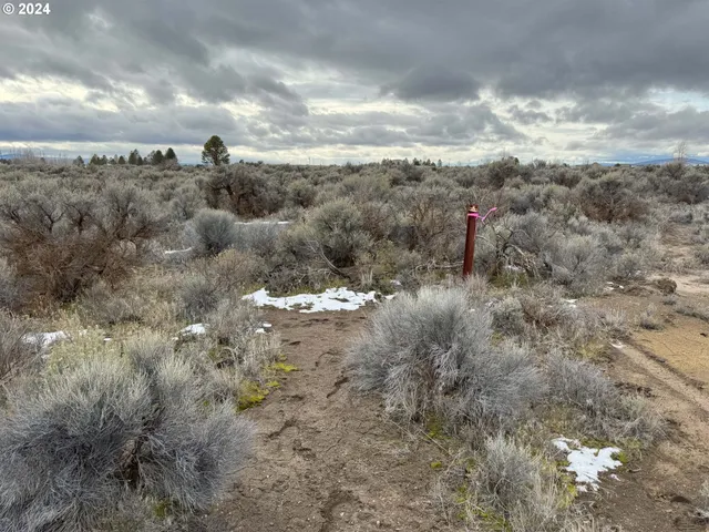 a view of a bunch of trees in a field