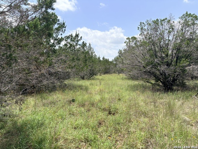 128 Coneflower Drive Spring Branch, TX 78070 - Photo 13 of 27