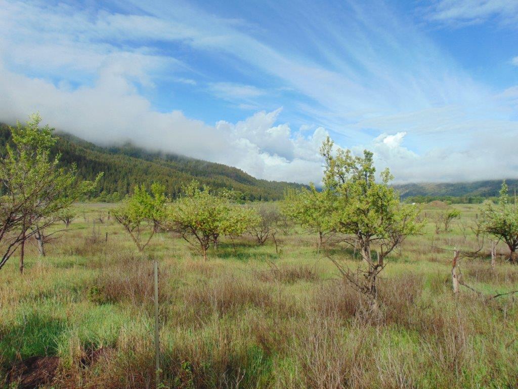27235 Lazy Springs Road Clinton, MT 59825 - Photo 23 of 94 Gallery Image 23