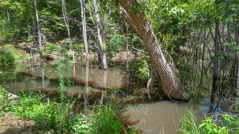 0 4-a Finley Road Belton, SC 29627 - Photo 7 of 7