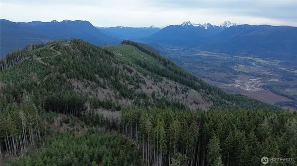 a view of a lush green hillside and a mountain