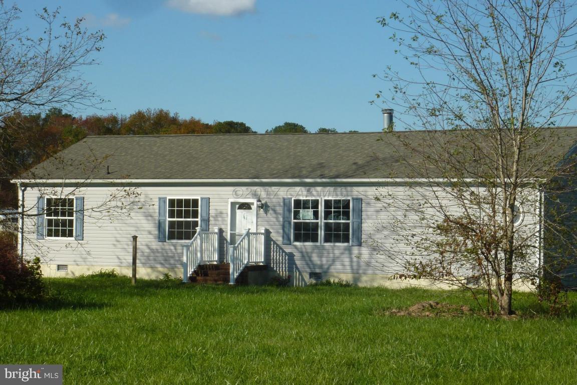 a view of a backyard with plants and large tree