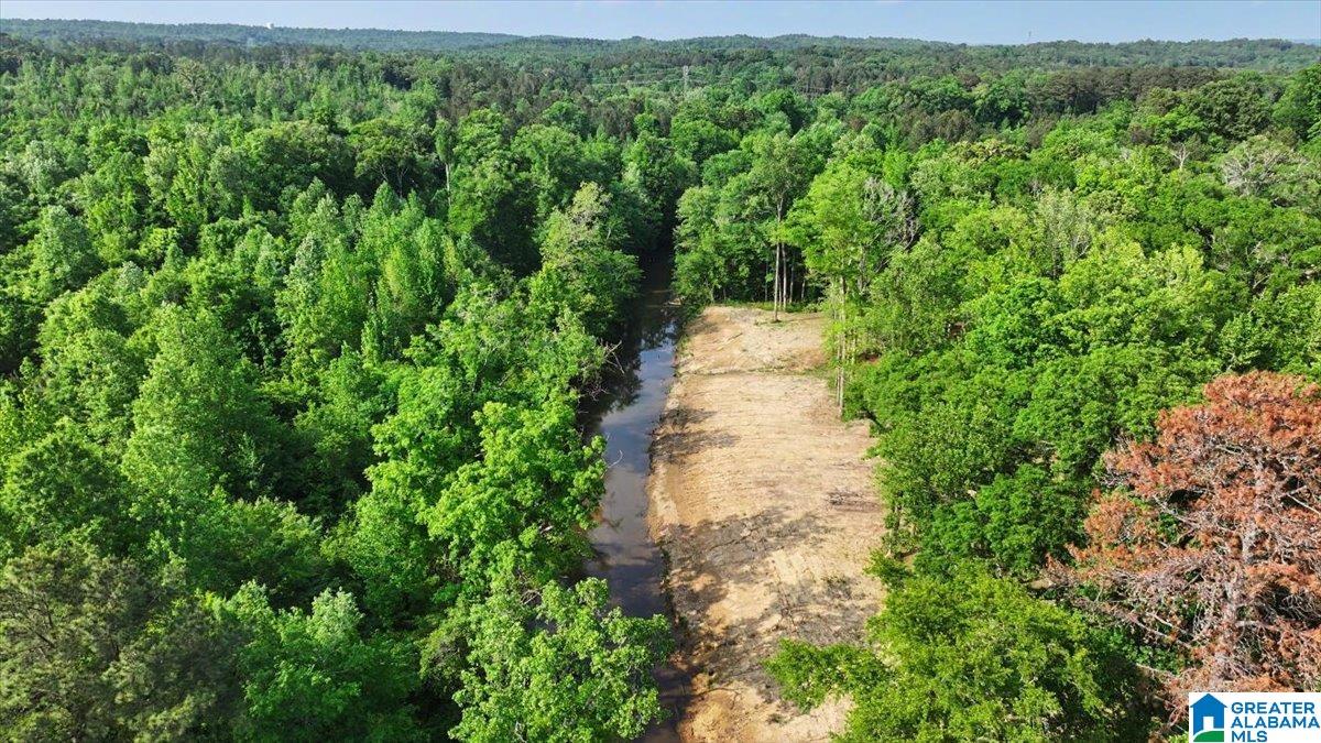 4550 Newbold Road Bessemer, AL 35022 - Photo 18 of 99