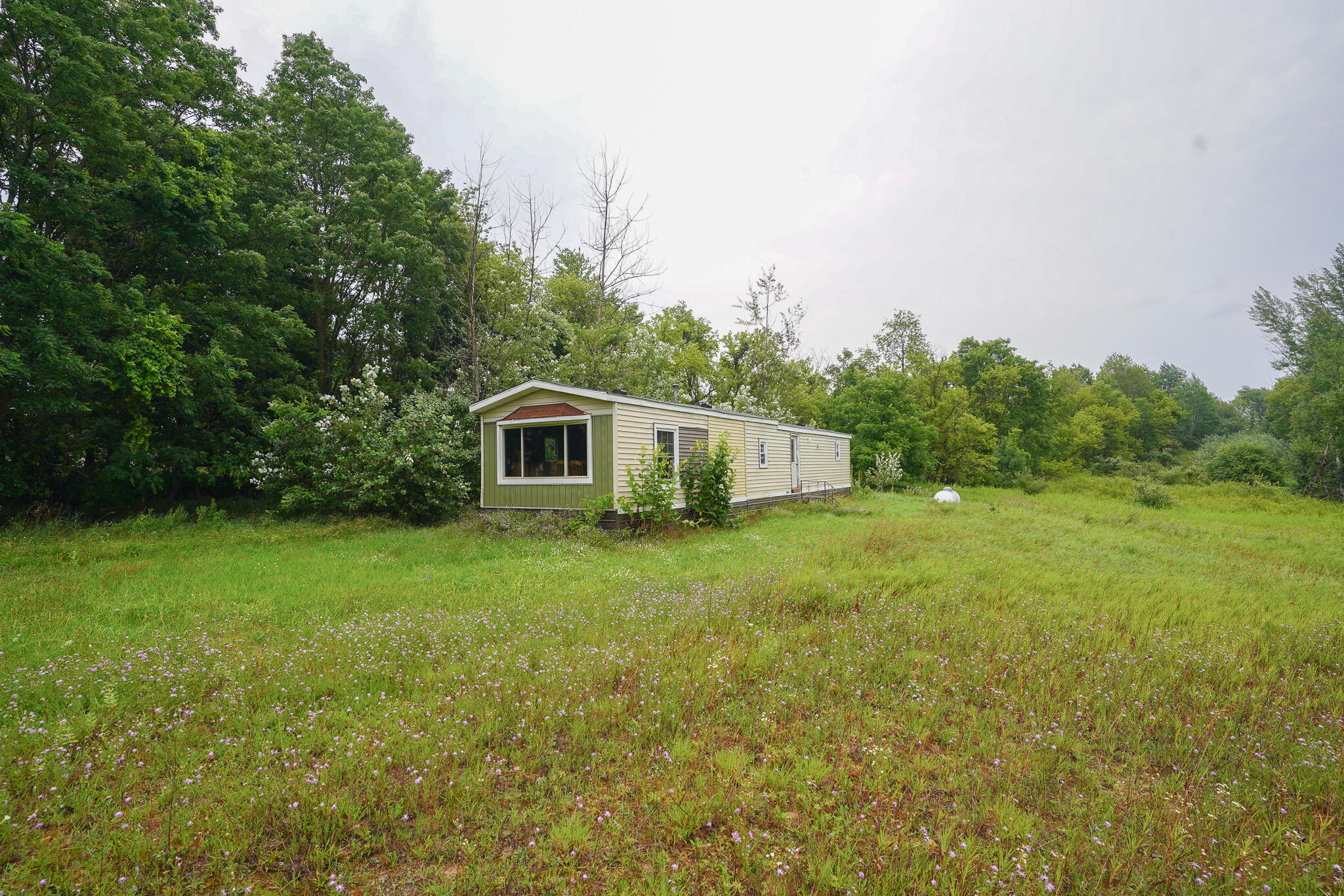 4685 Fritz Road Northwest Stanton, MI 48888 - Photo 5 of 6 DSC07768