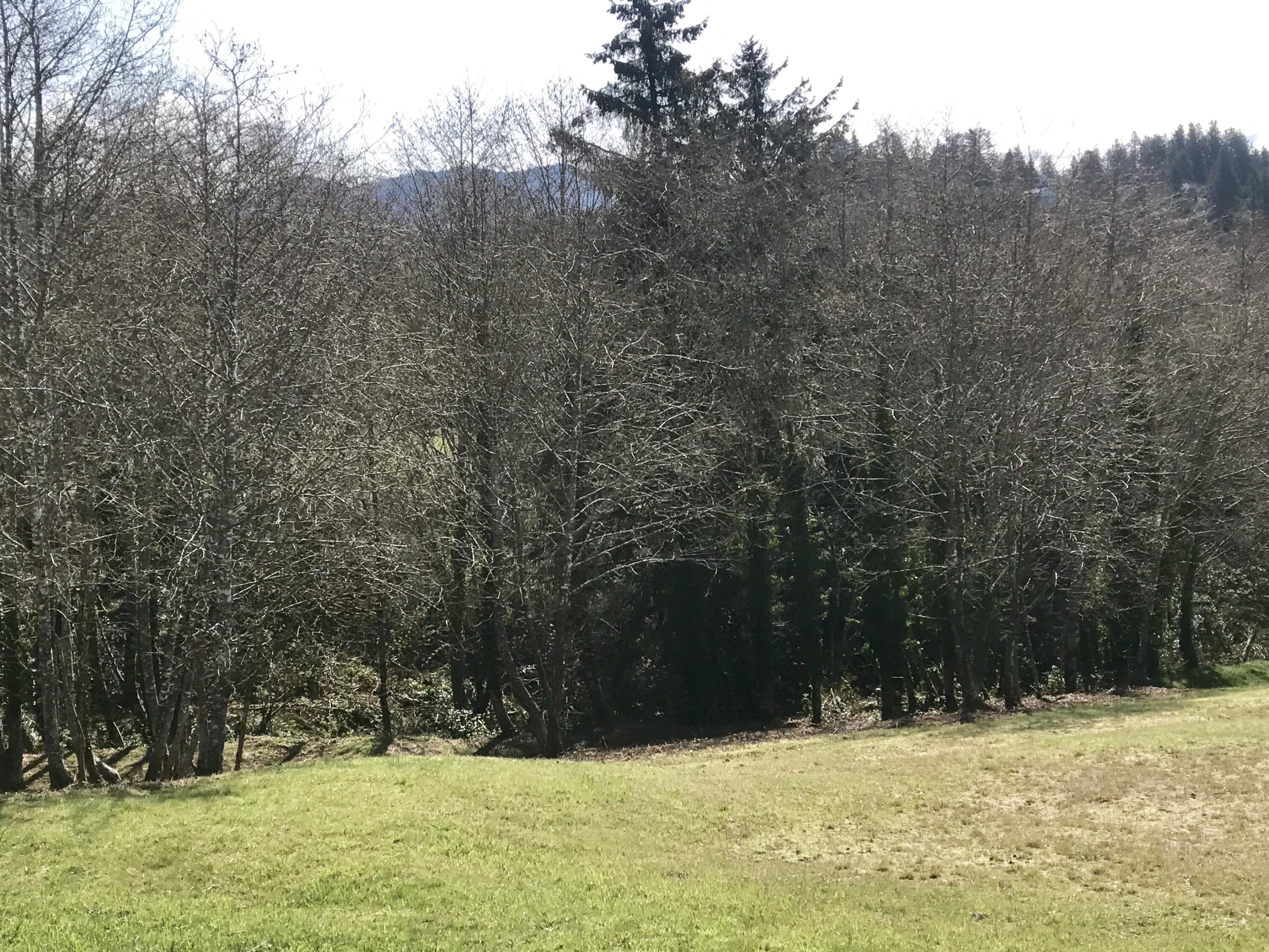 62 South Ridge Drive Bay City, OR 97107 - Photo 2 of 5 FullSizeRender (22)