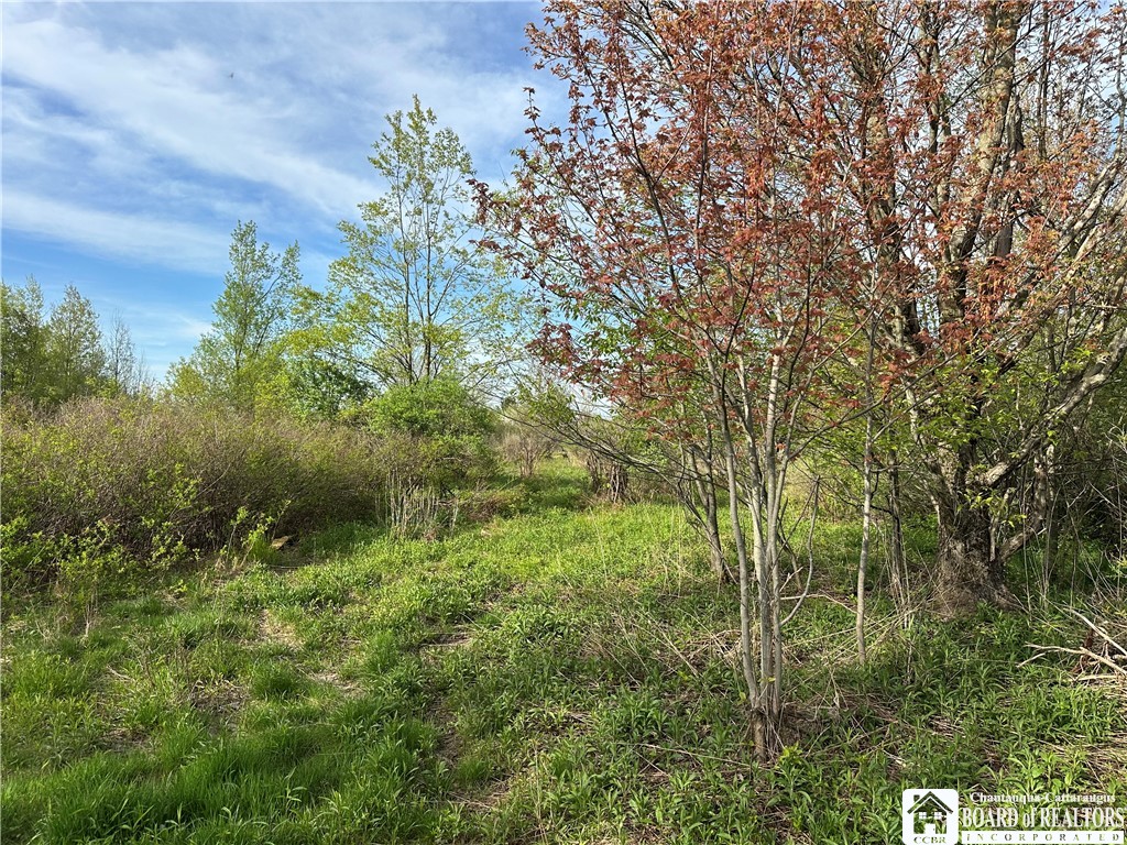 522 Bush Hill Road Farmersville, NY 14737 - Photo 4 of 13