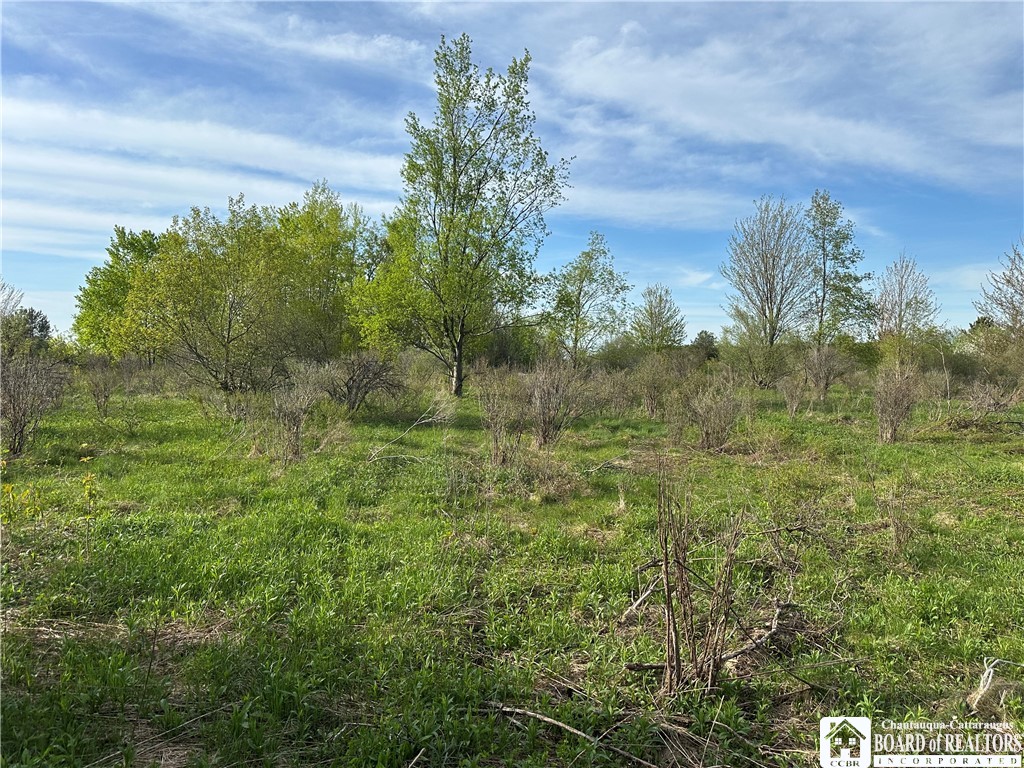 522 Bush Hill Road Farmersville, NY 14737 - Photo 5 of 13