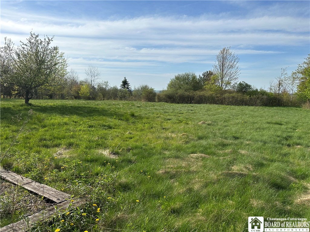 522 Bush Hill Road Farmersville, NY 14737 - Photo 6 of 13