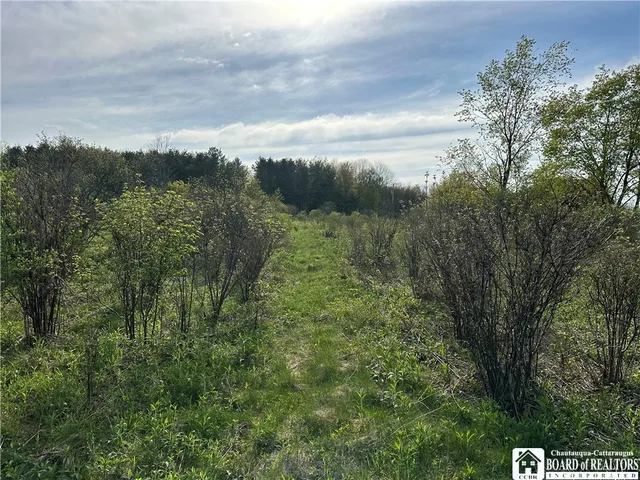 $95,000 | 522 Bush Hill Road, Farmersville, NY 14737