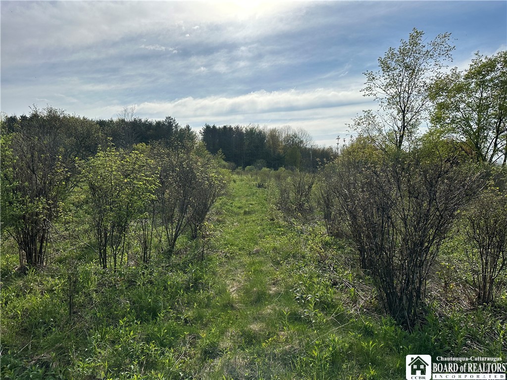 522 Bush Hill Road Farmersville, NY 14737 - Photo 7 of 13