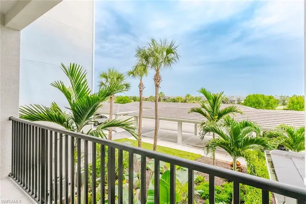 a view of a park with a palm trees
