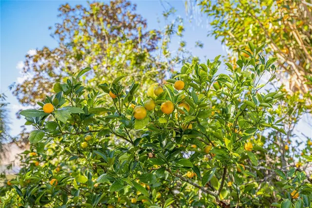 $249,999 | 9694 Southwest 89th Loop, Ocala, FL 34481