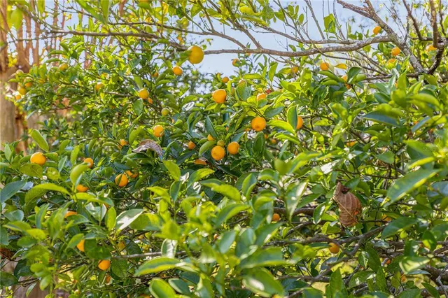 $249,999 | 9694 Southwest 89th Loop, Ocala, FL 34481