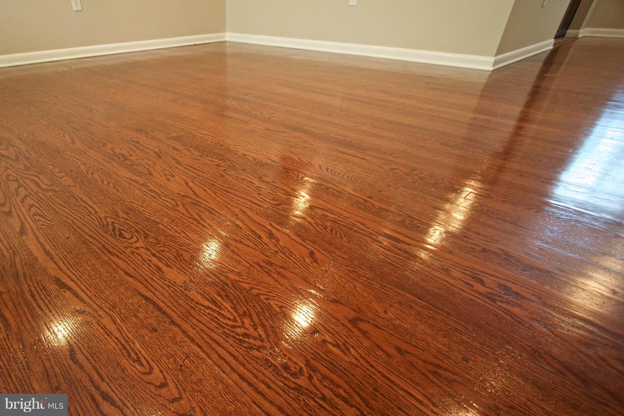 4710 Sharon Road Temple Hills, MD 20748 - Photo 5 of 29 Interior (General)