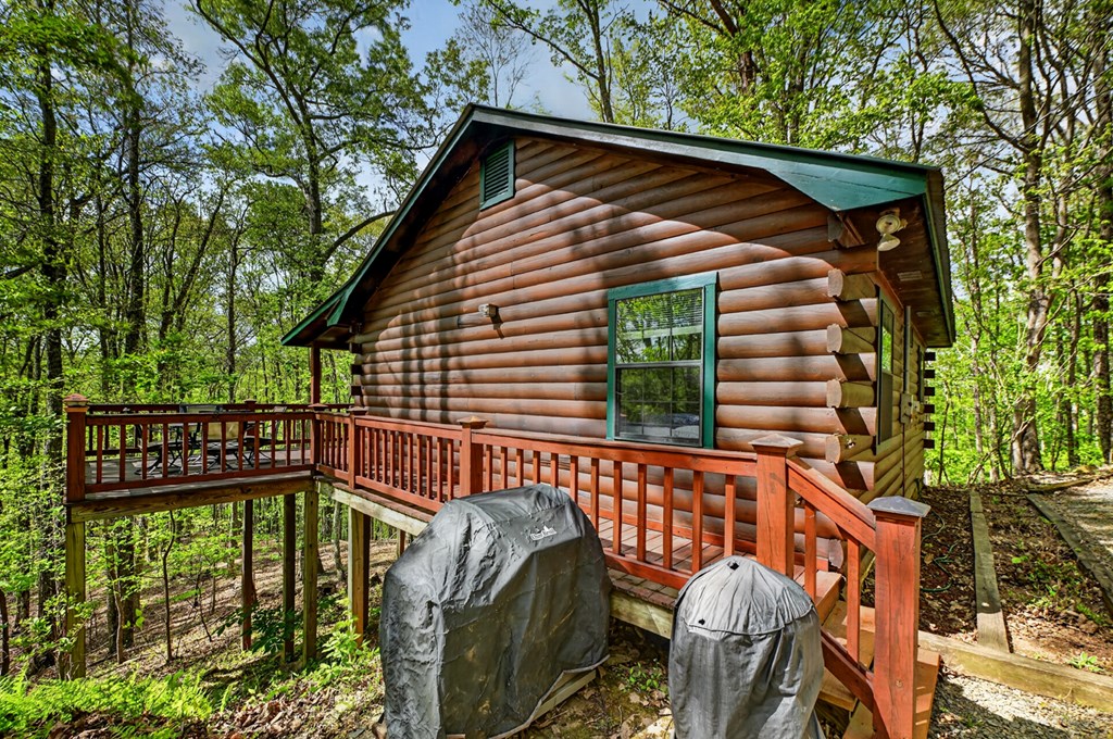 660 Ripshin Mountain Road Blue Ridge, GA 30513 - Photo 31 of 40
