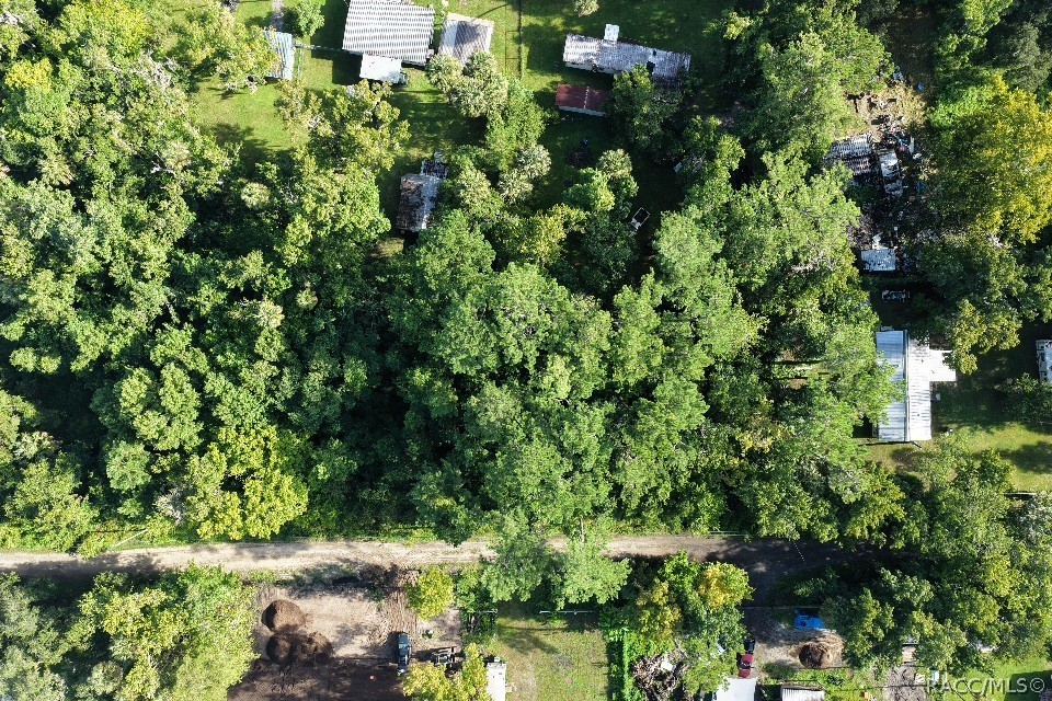 0 Gobbler Road Astor, FL 32102 - Photo 25 of 34 Gallery Image 25