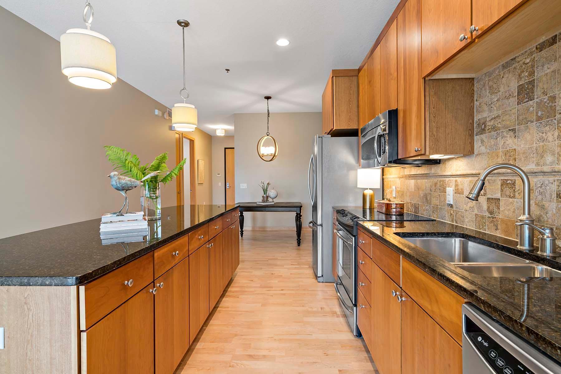 240 Spring Street, Unit 211 St. Paul, MN 55102 - Photo 15 of 43 Gallery Image 15