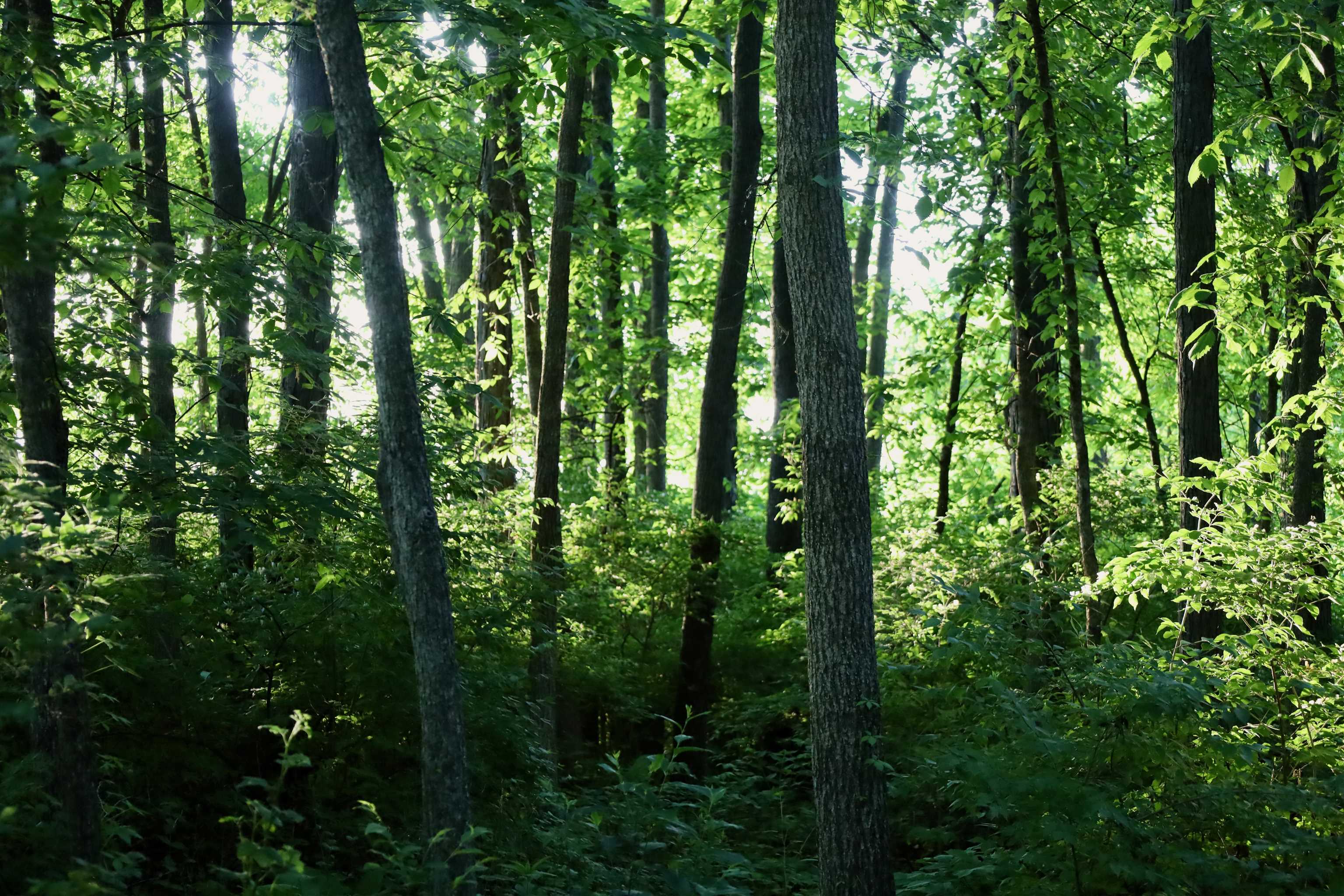 0 County T Boscobel, WI 53805 - Photo 30 of 30