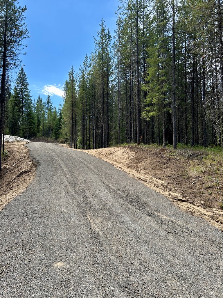 76 Sawtooth Loop, Unit LOT 33 Cascade, ID 83611 - Photo 4 of 8