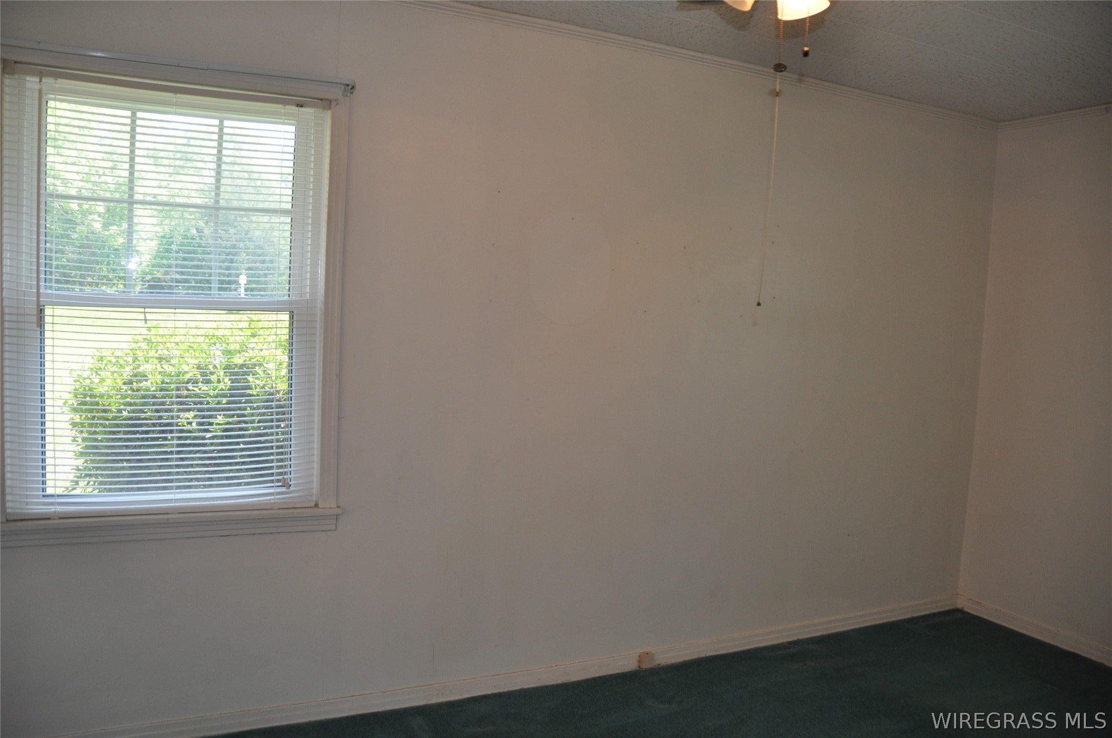 910 Holley Mill Road Samson, AL 36477 - Photo 13 of 61 The room is on the left front corner of the home.