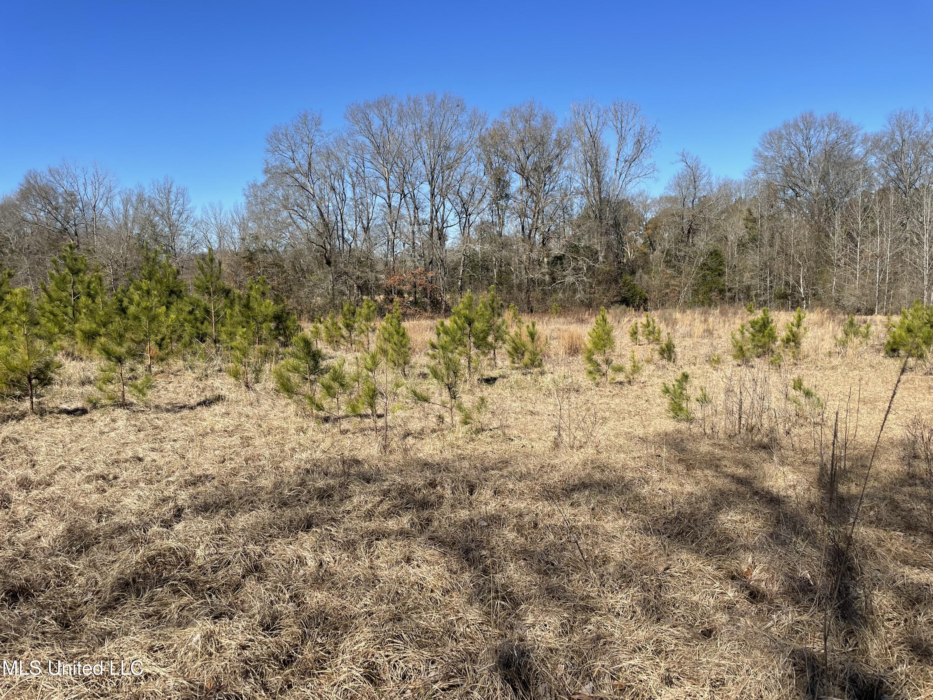 Us-51 Crystal Springs, MS 39059 - Photo 11 of 21 IMG_3468