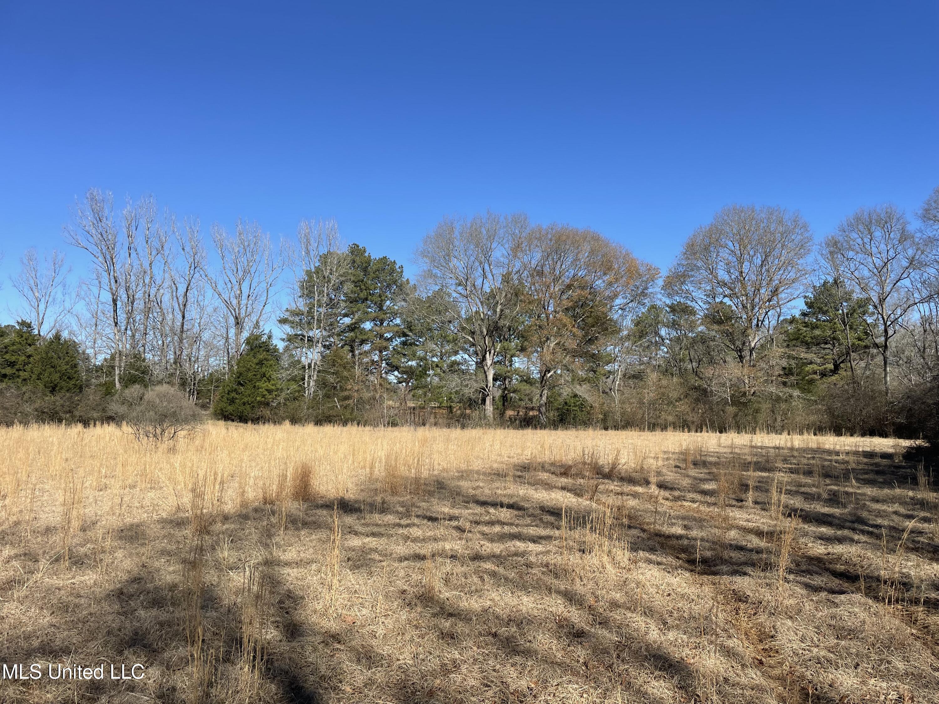 Us-51 Crystal Springs, MS 39059 - Photo 12 of 21 IMG_3466