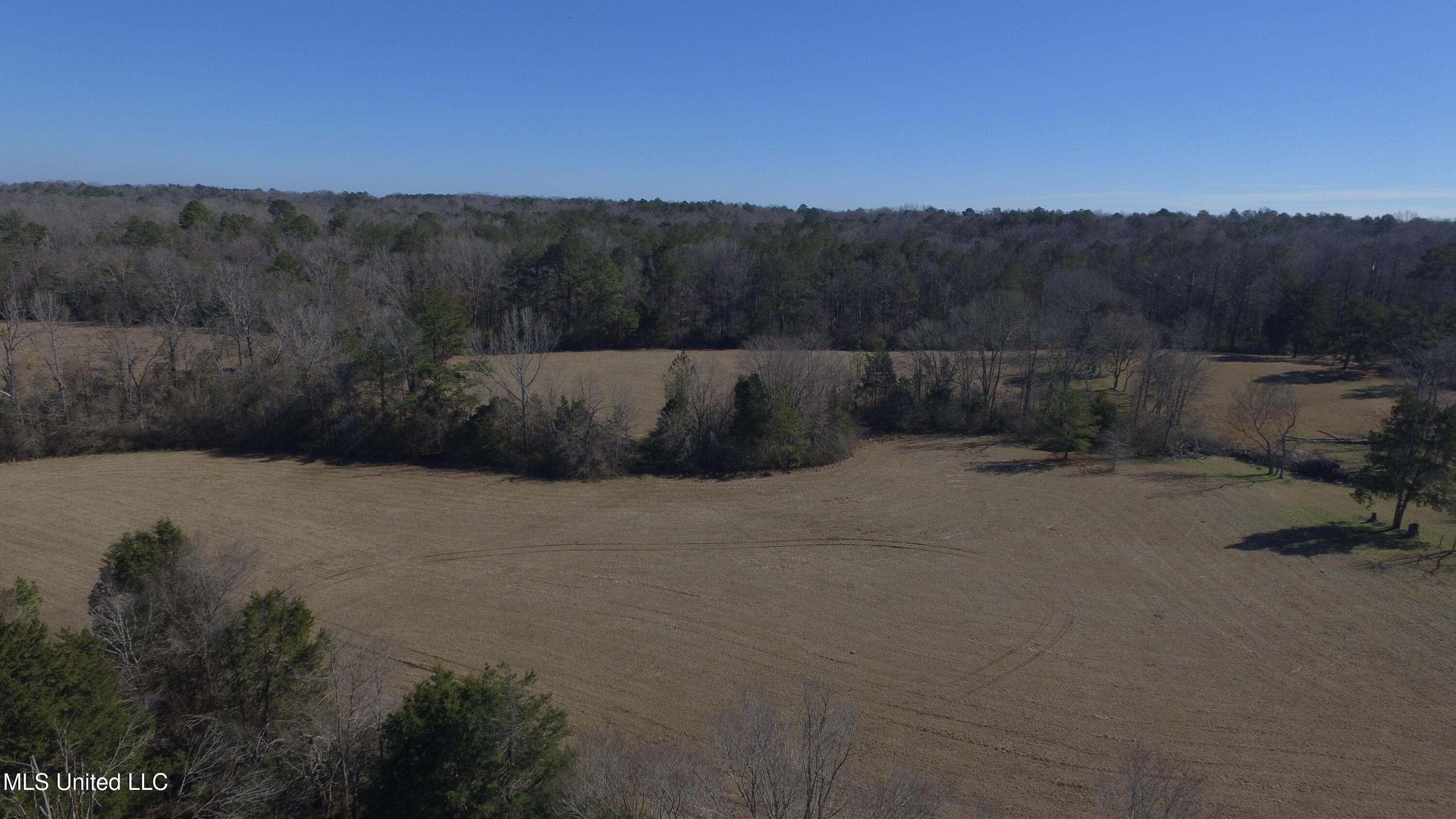 Us-51 Crystal Springs, MS 39059 - Photo 16 of 21 IMG_2565