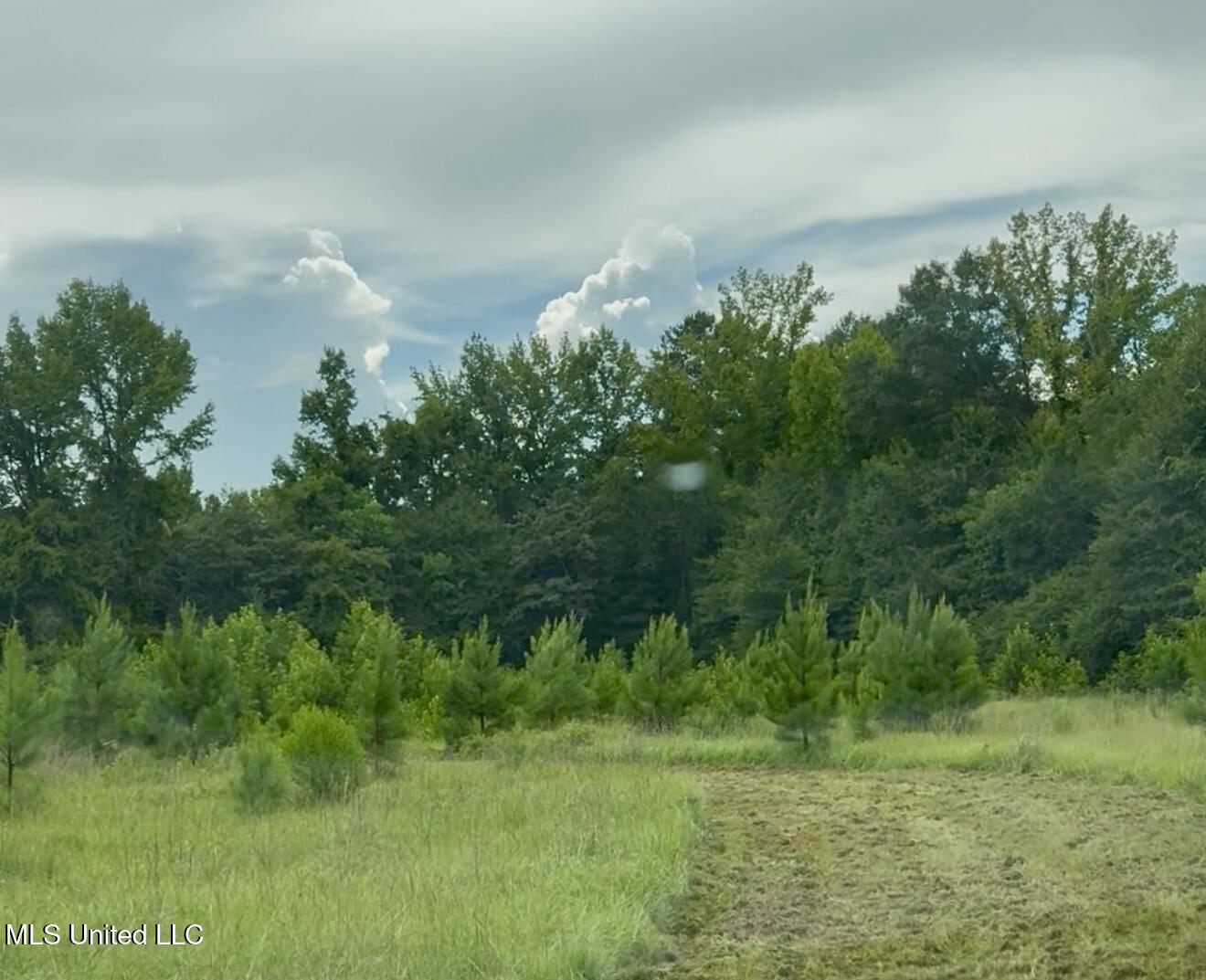 Us-51 Crystal Springs, MS 39059 - Photo 2 of 21 IMG_1681