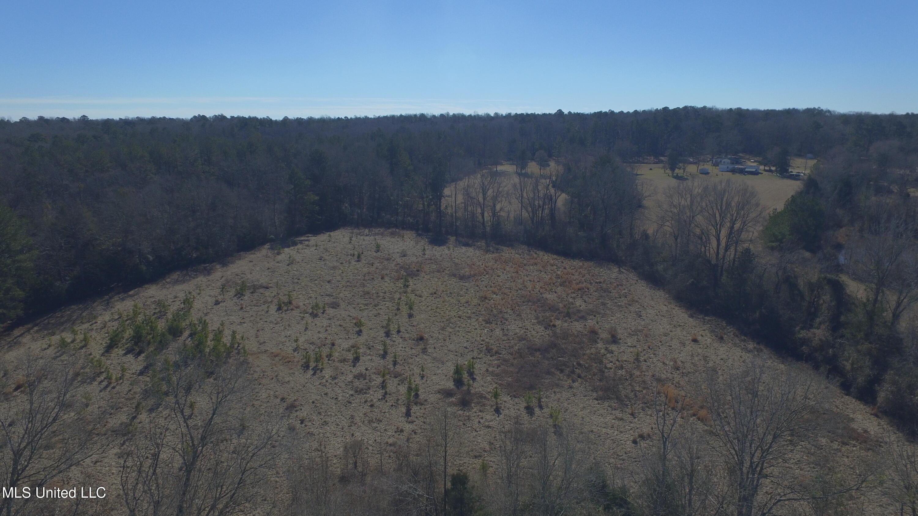 Us-51 Crystal Springs, MS 39059 - Photo 21 of 21 IMG_2571