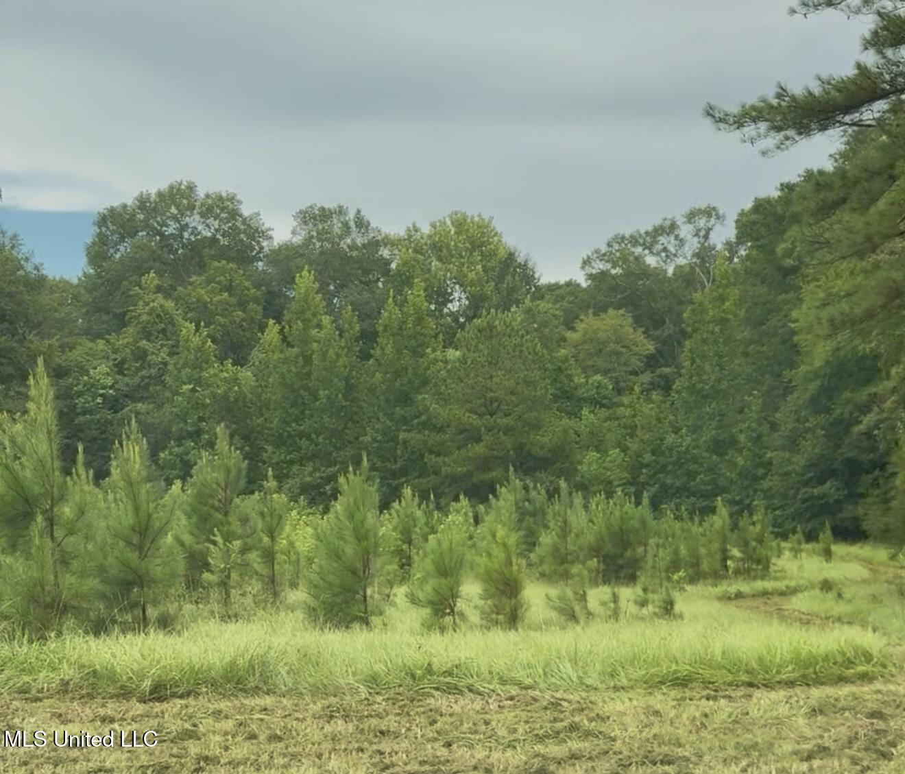 Us-51 Crystal Springs, MS 39059 - Photo 3 of 21 IMG_1680
