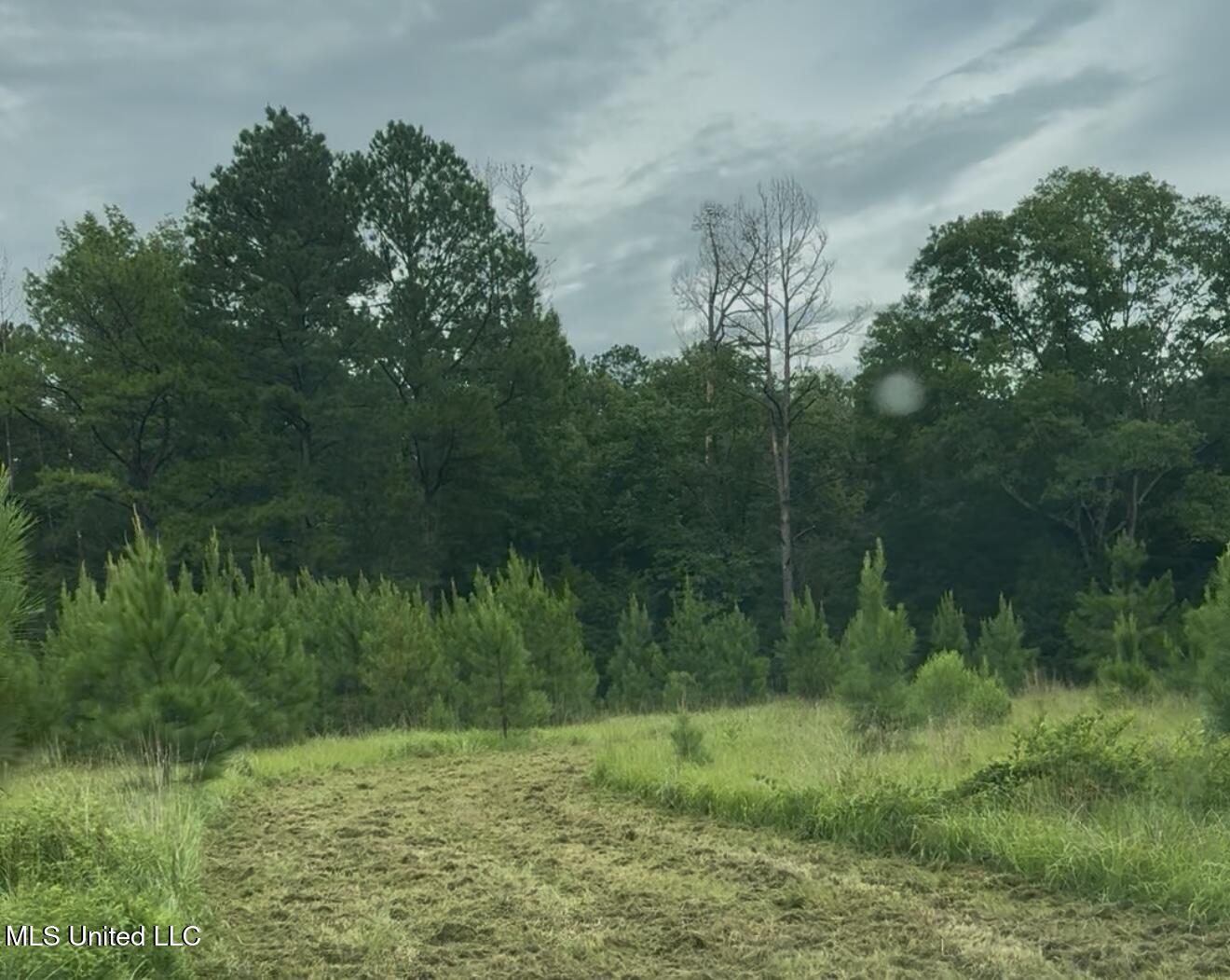 Us-51 Crystal Springs, MS 39059 - Photo 4 of 21 IMG_1679