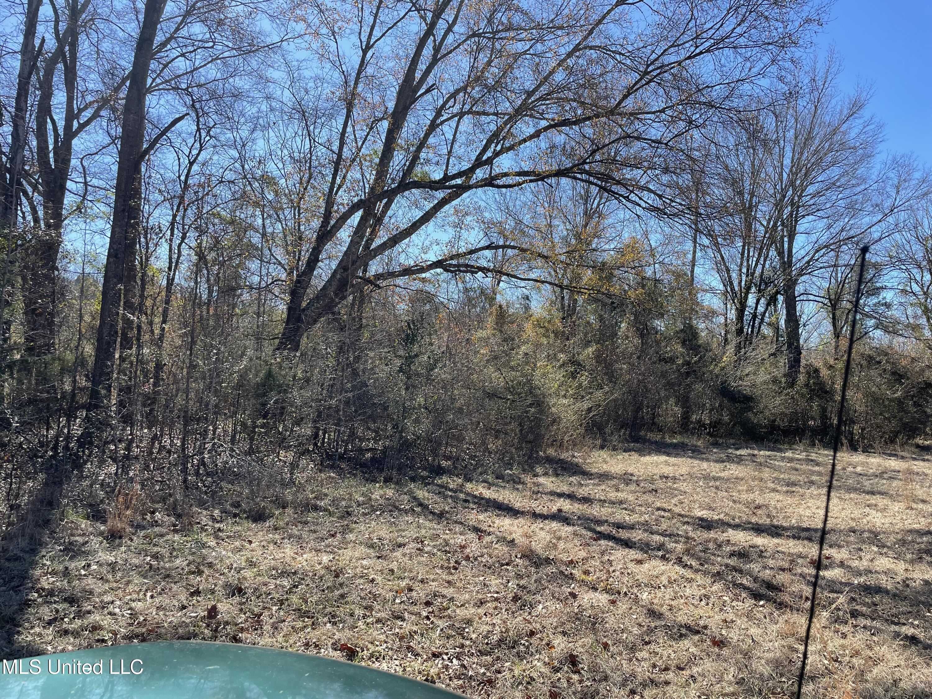 Us-51 Crystal Springs, MS 39059 - Photo 5 of 21 IMG_3467