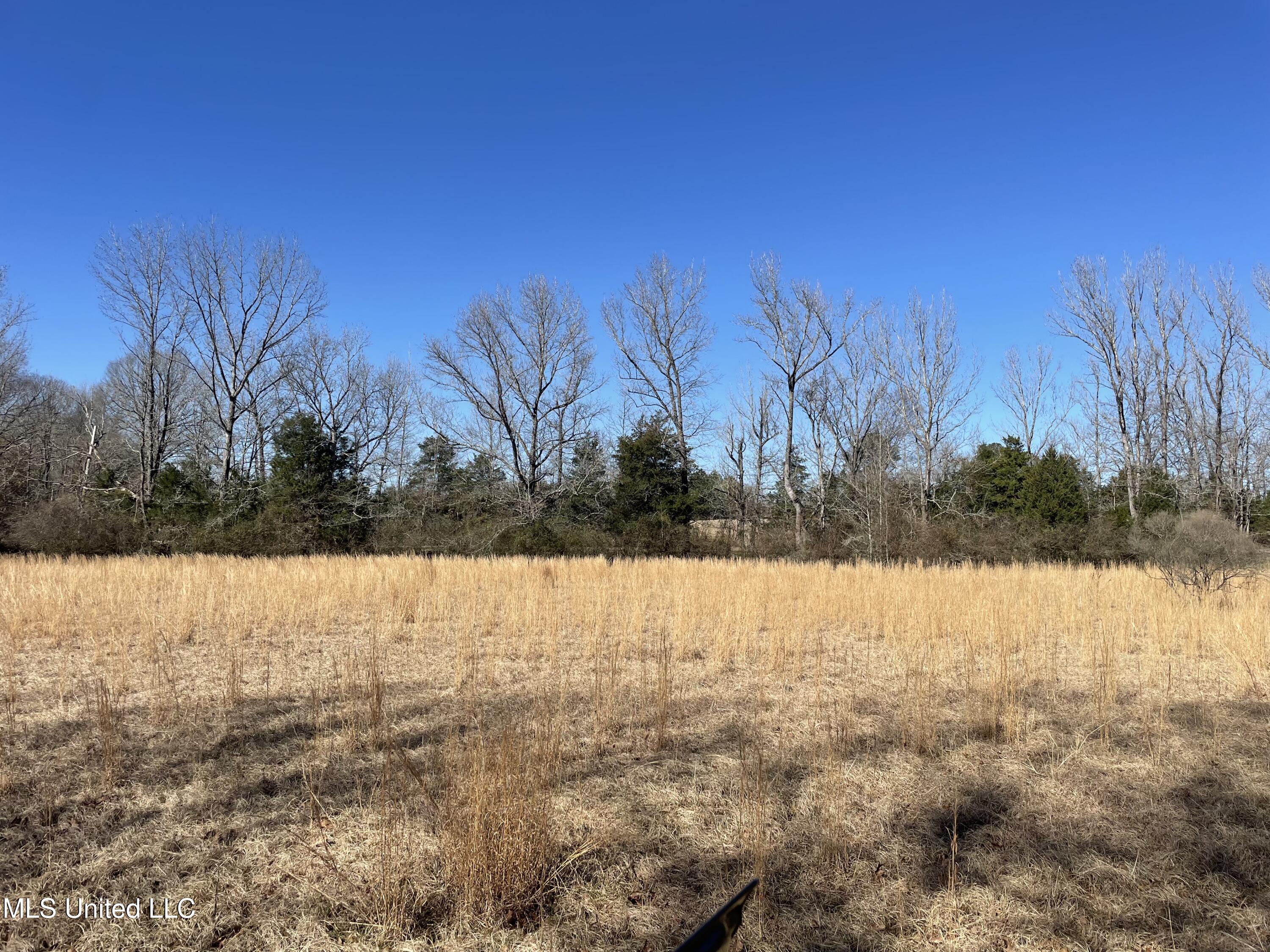 Us-51 Crystal Springs, MS 39059 - Photo 6 of 21 IMG_3465
