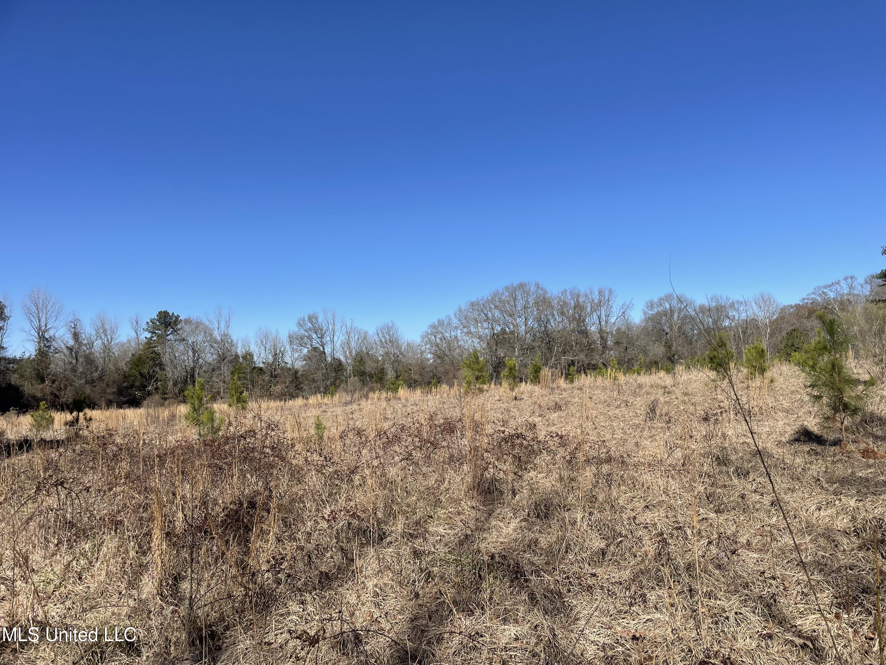 Us-51 Crystal Springs, MS 39059 - Photo 7 of 21 IMG_3472