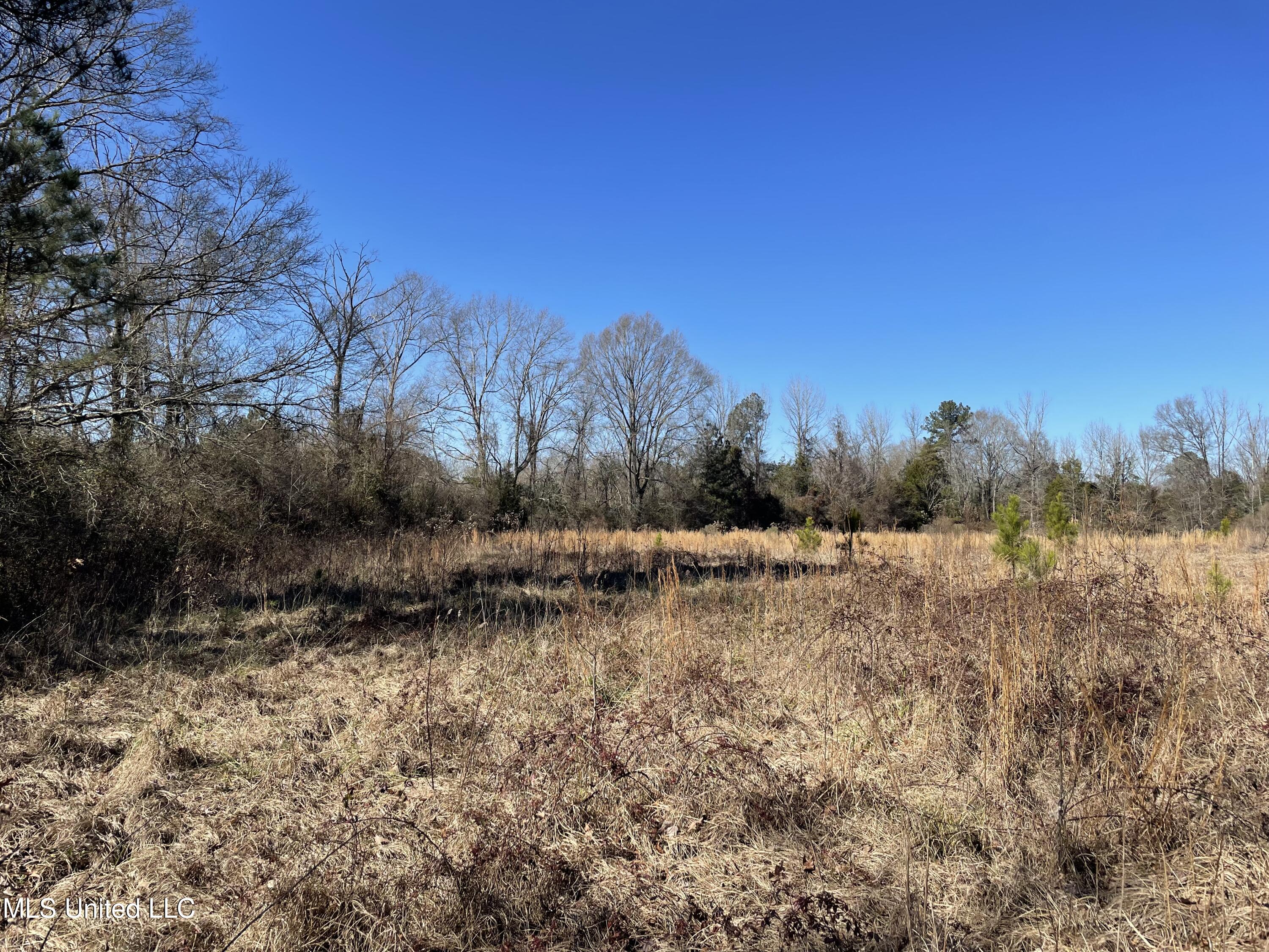 Us-51 Crystal Springs, MS 39059 - Photo 8 of 21 IMG_3471