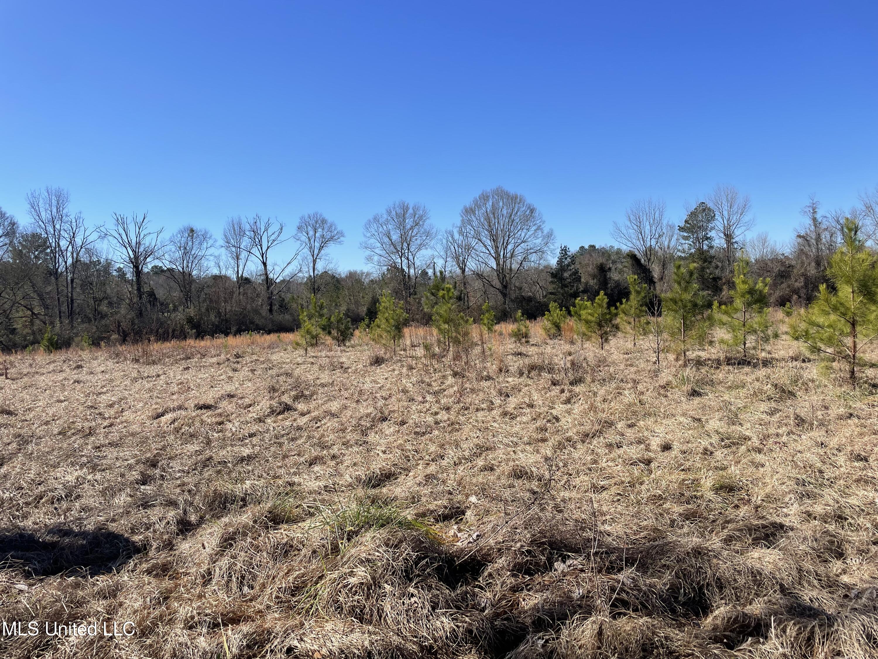 Us-51 Crystal Springs, MS 39059 - Photo 9 of 21 IMG_3470