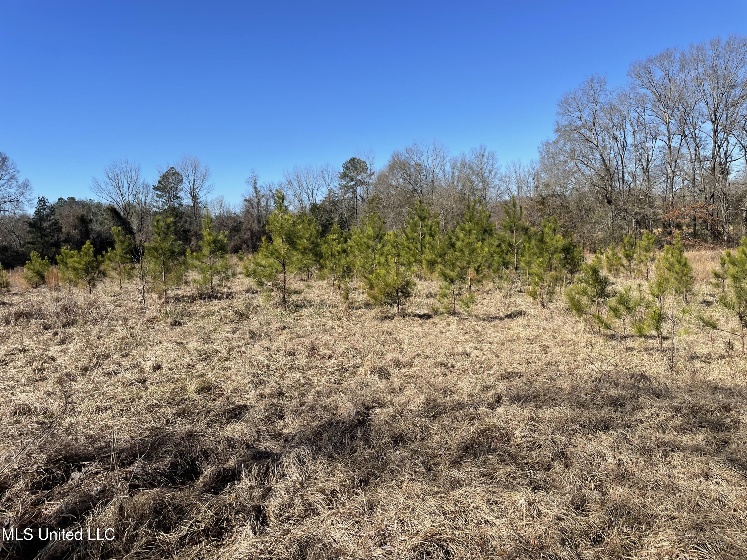 Us-51 Crystal Springs, MS 39059 - Photo 10 of 21 IMG_3469