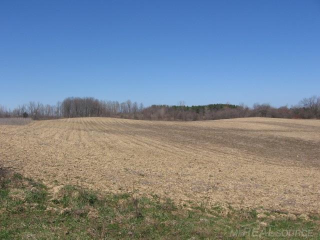 Vl Townsend Applegate, MI 48401 - Photo 26 of 31