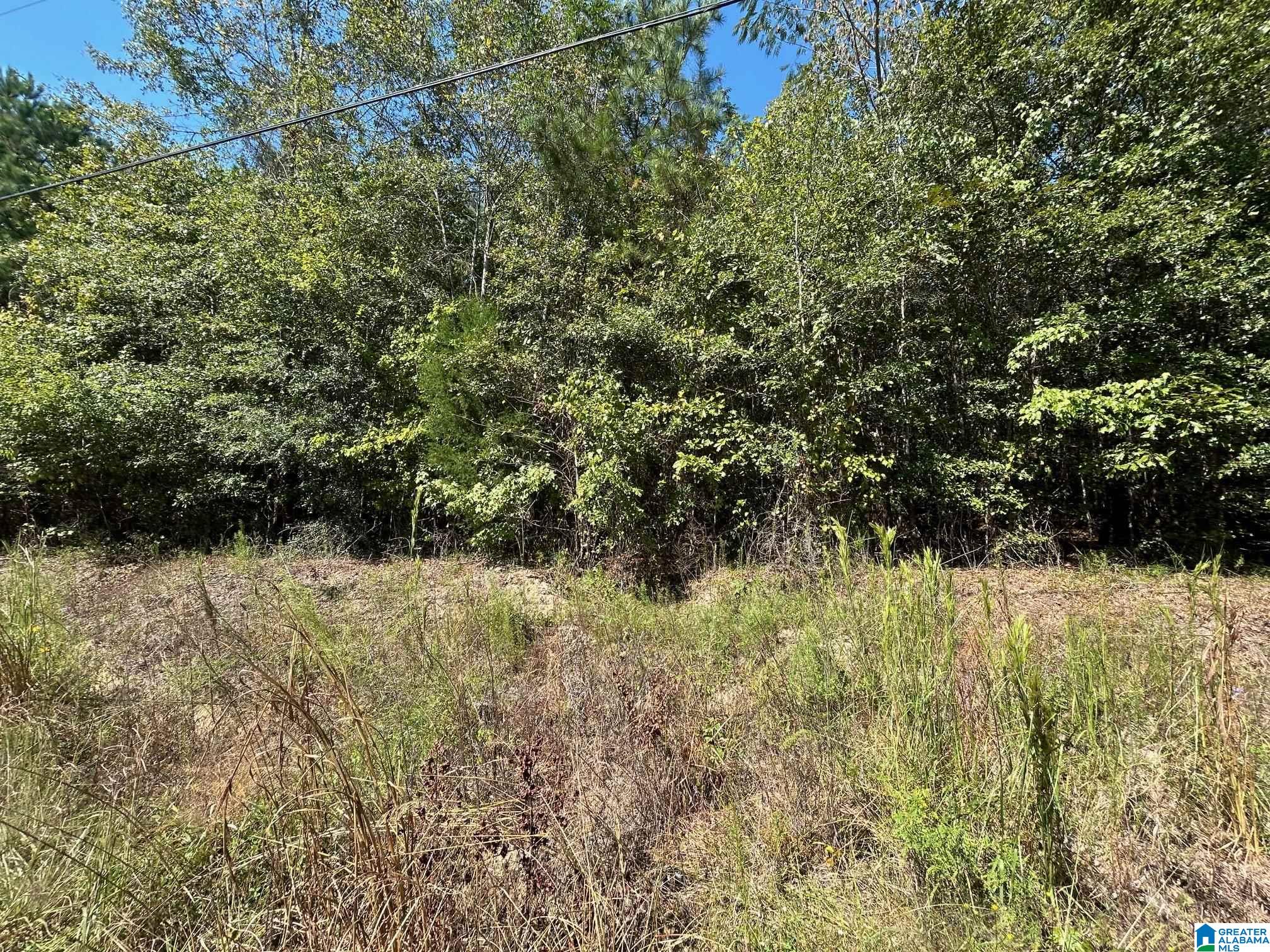 Rocky View Road West Blocton, AL 35184 - Photo 6 of 7