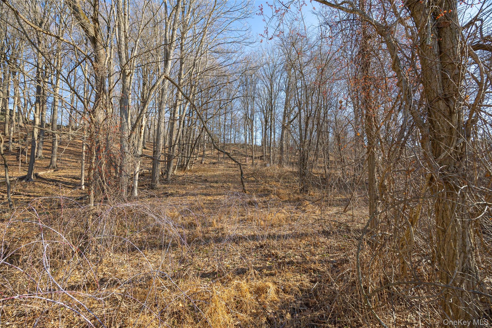 74 Old Albany Post Road Rhinebeck, NY 12572 - Photo 7 of 12