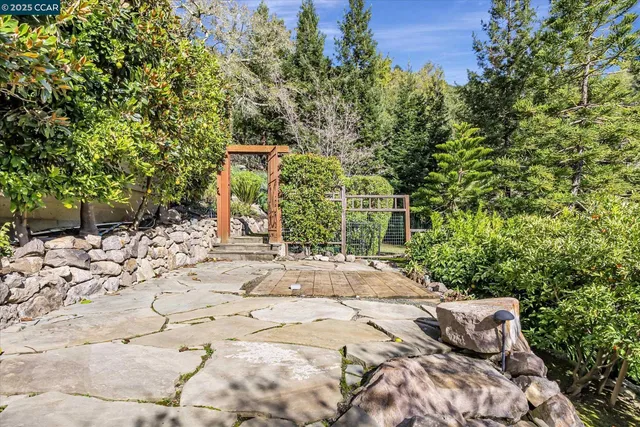 a view of a yard with plants and trees