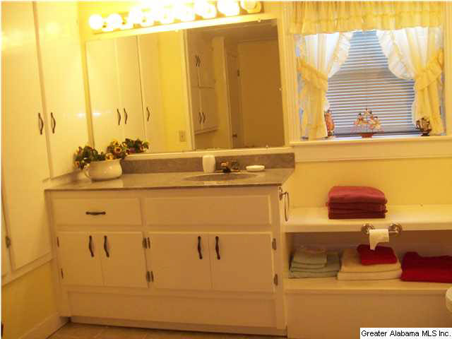 902 County Road 91 Jemison, AL 35085 - Photo 27 of 32