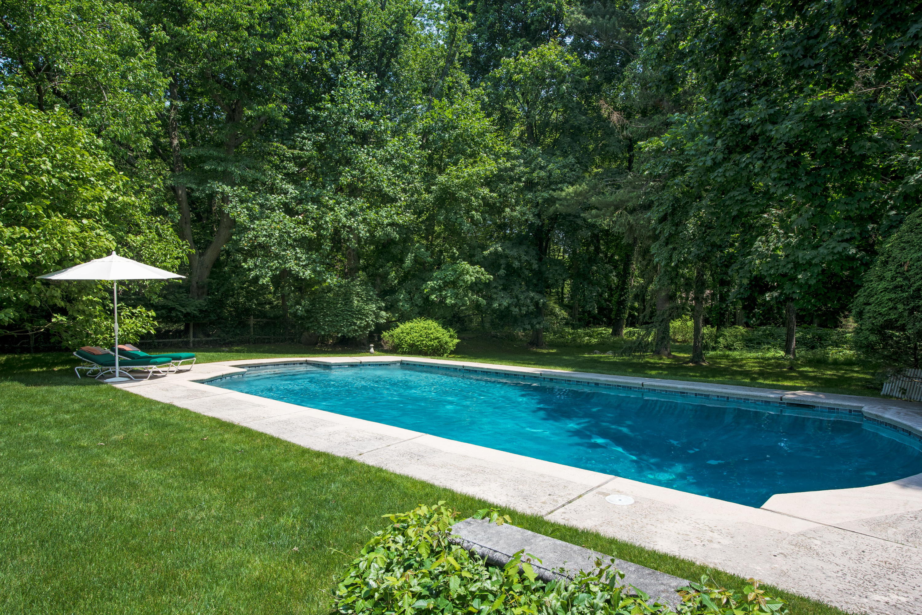 258 Hollow Tree Ridge Road Darien, CT 06820 - Photo 26 of 28 a view of a backyard with a trampoline